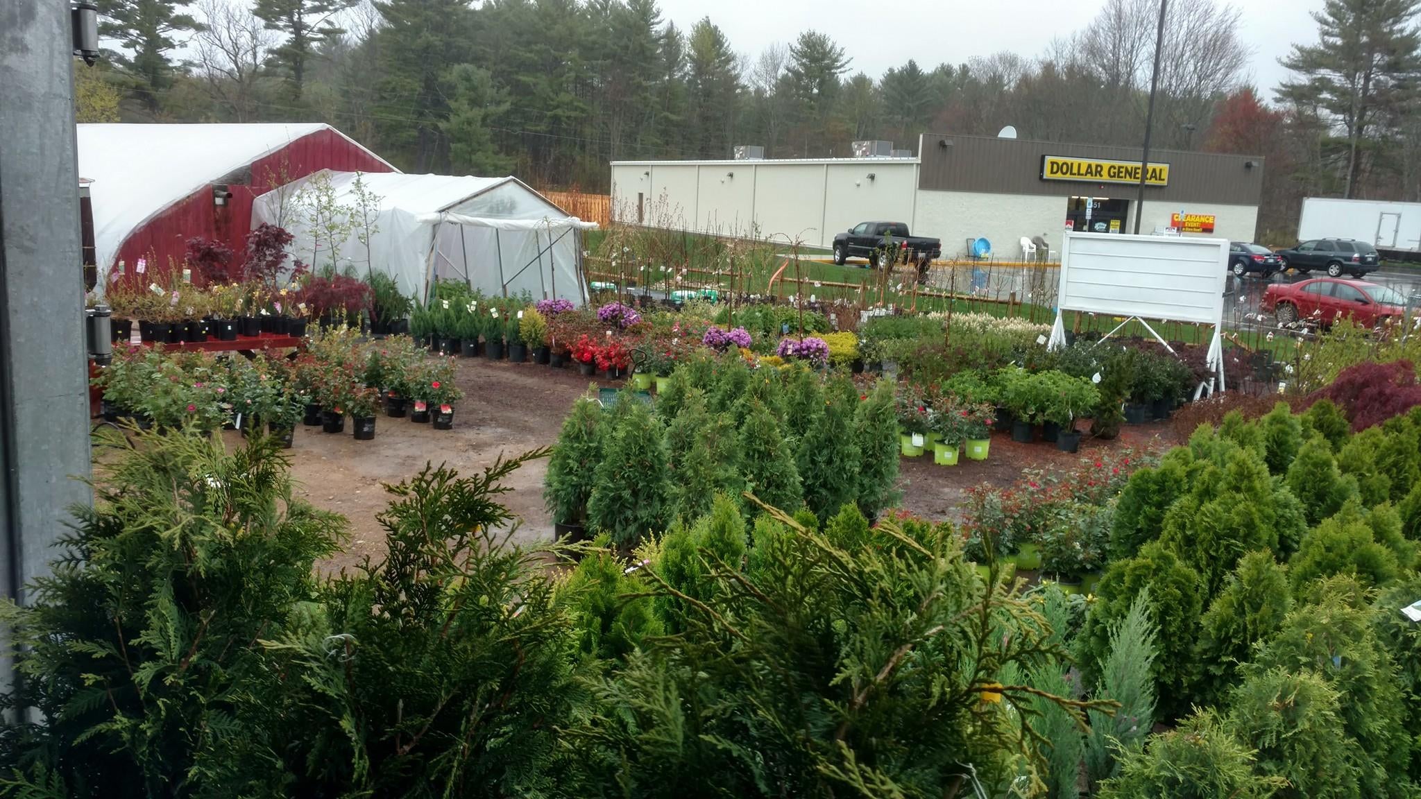 Home Farmfield Greenhouses 367 Carl Broggi Hwy Lebanon Maine